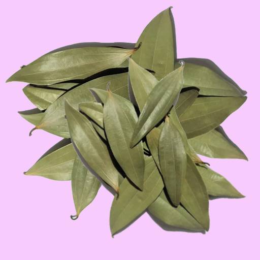 Kerala Bay Leaf
